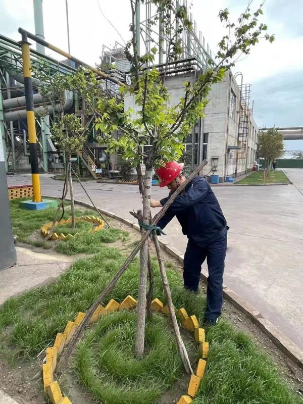 2024新澳原料免费资料2