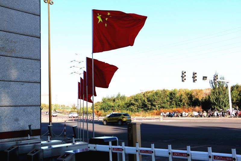 2024新澳原料免费资料2